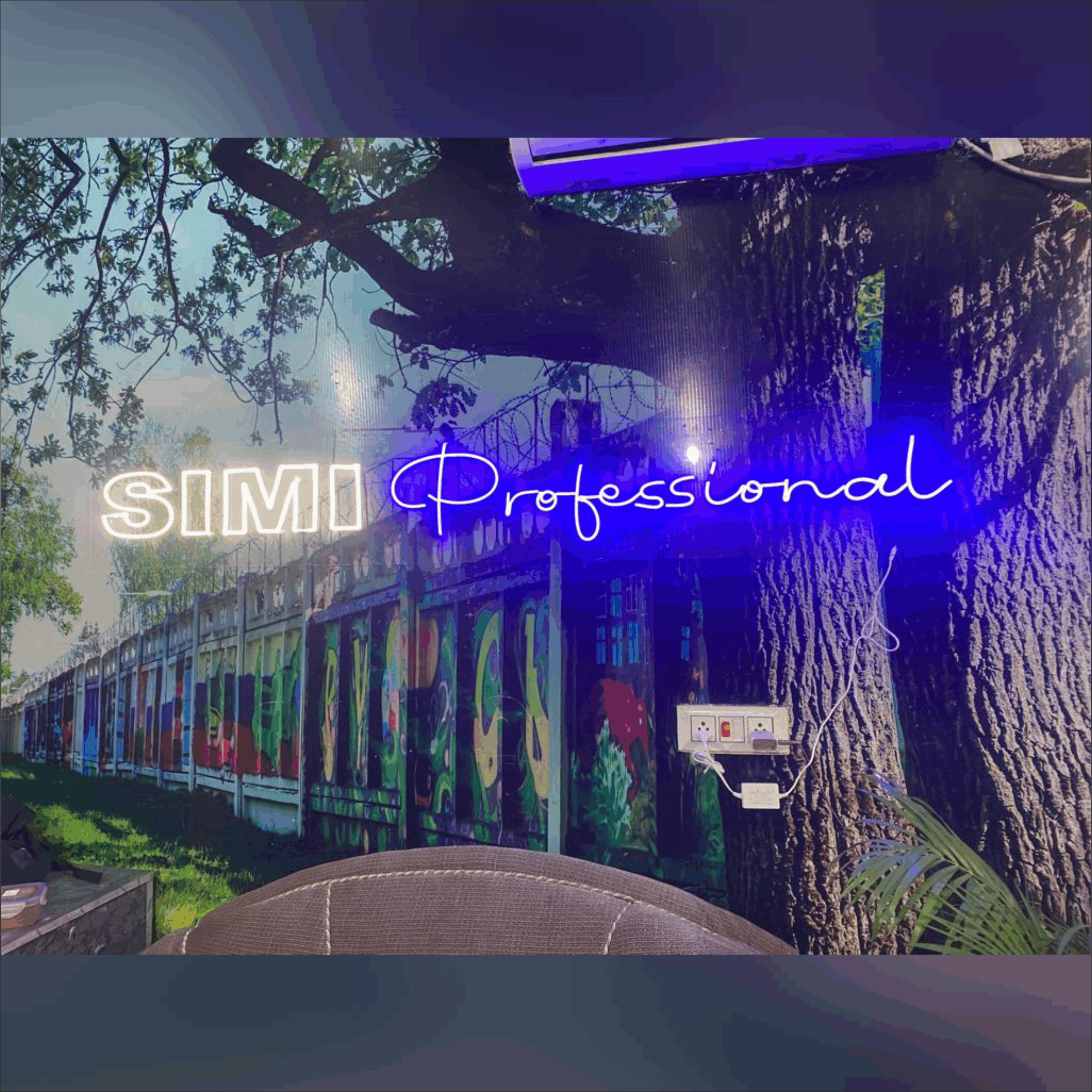 Simi Professional neon sign